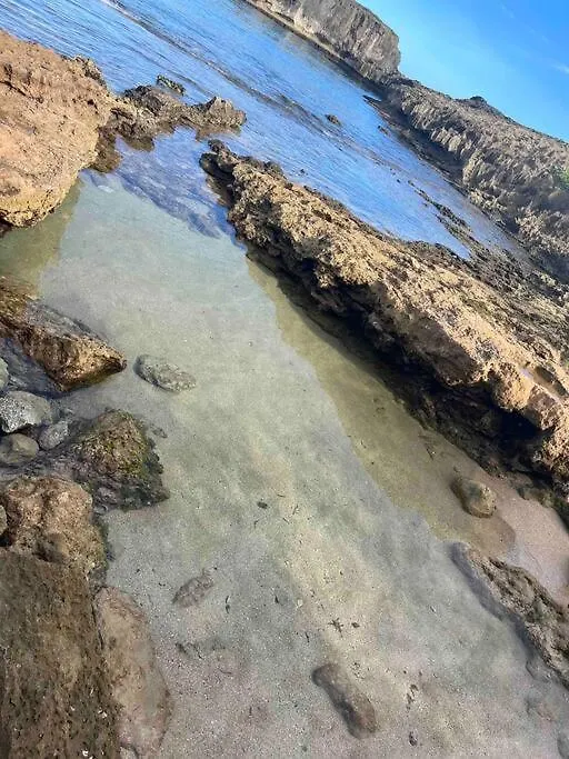 Huellas Arecibo