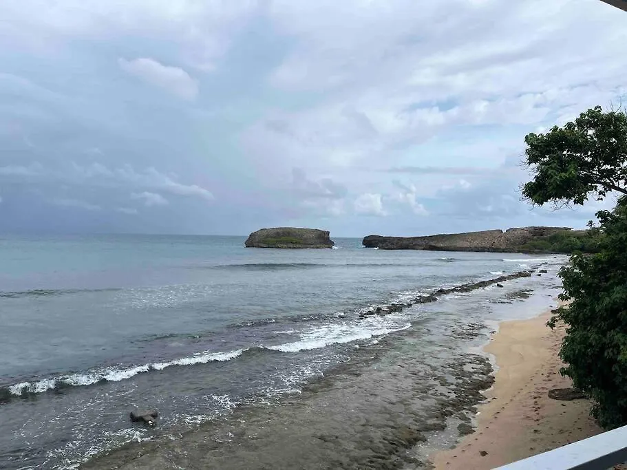 Huellas Arecibo Puerto Rico
